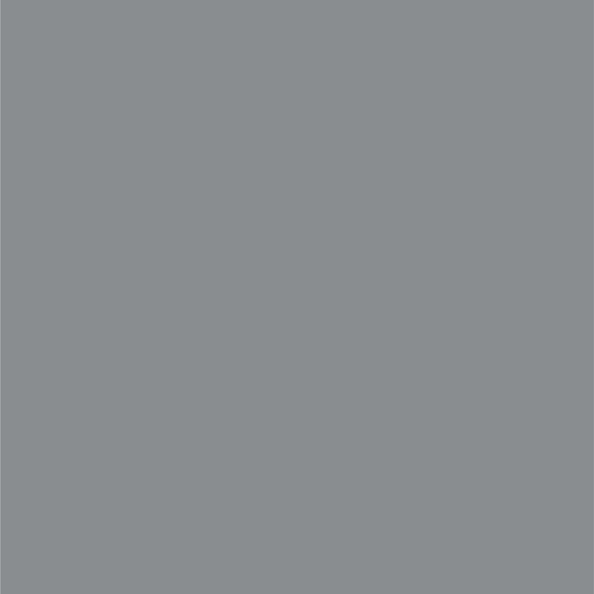 Ford Magnetic Metallic Dupli-Color EBFM04177 Perfect Match Automotive Spray, J7 – 8 oz. Aerosol Can