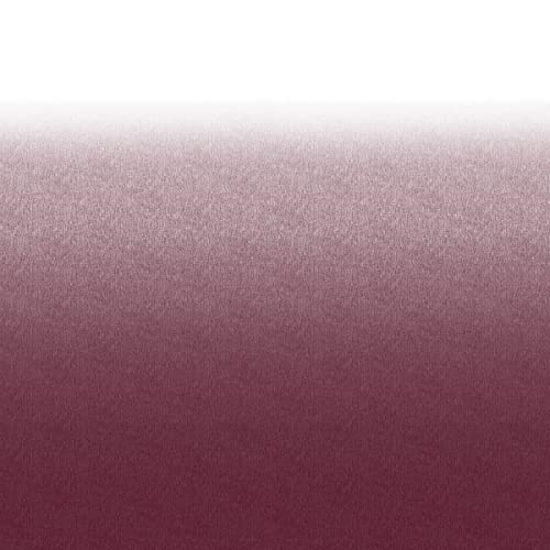 Lippert Solera Awning Roller and Fabric Assembly 21' White/Burgundy V000286895