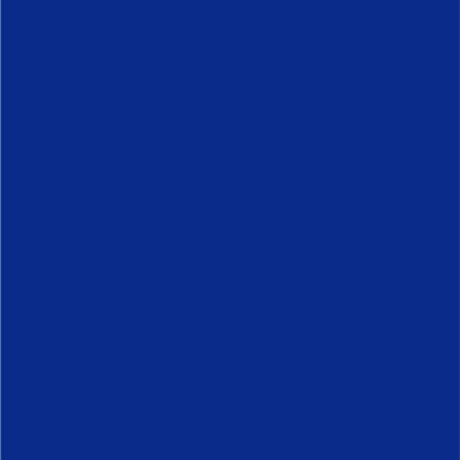 Dupli-Color EBFM03407 Automotive Spray Perfect Match, Ford Royal Blue, KM – 8 oz. Aerosol Can