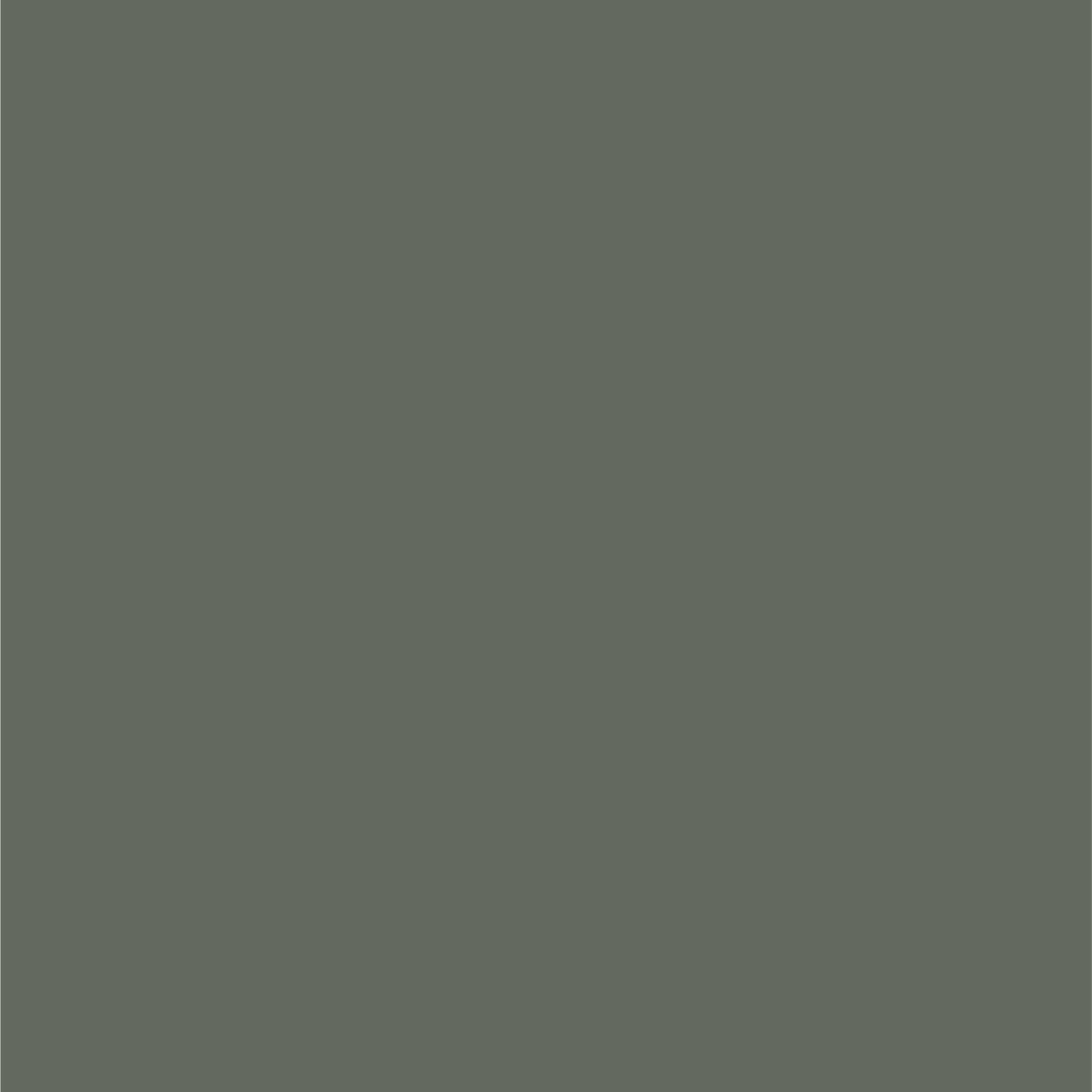 Ford Spruce Green Dupli-Color EBFM03627 Perfect Match Automotive Spray – 8 oz. Aerosol Can