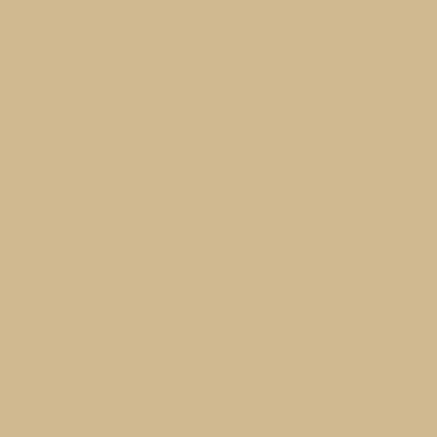 Dupli-Color Perfect Match Automotive Spray Paint – Light Driftwood Metallic, General Motors 33 WA5322 – 8 oz. Aerosol Can