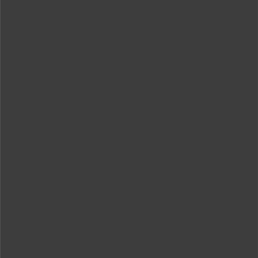 Ford Mineral Gray Metallic Dupli-Color EBFM03527 Perfect Match Automotive Spray Paint – 8 oz. Aerosol Can