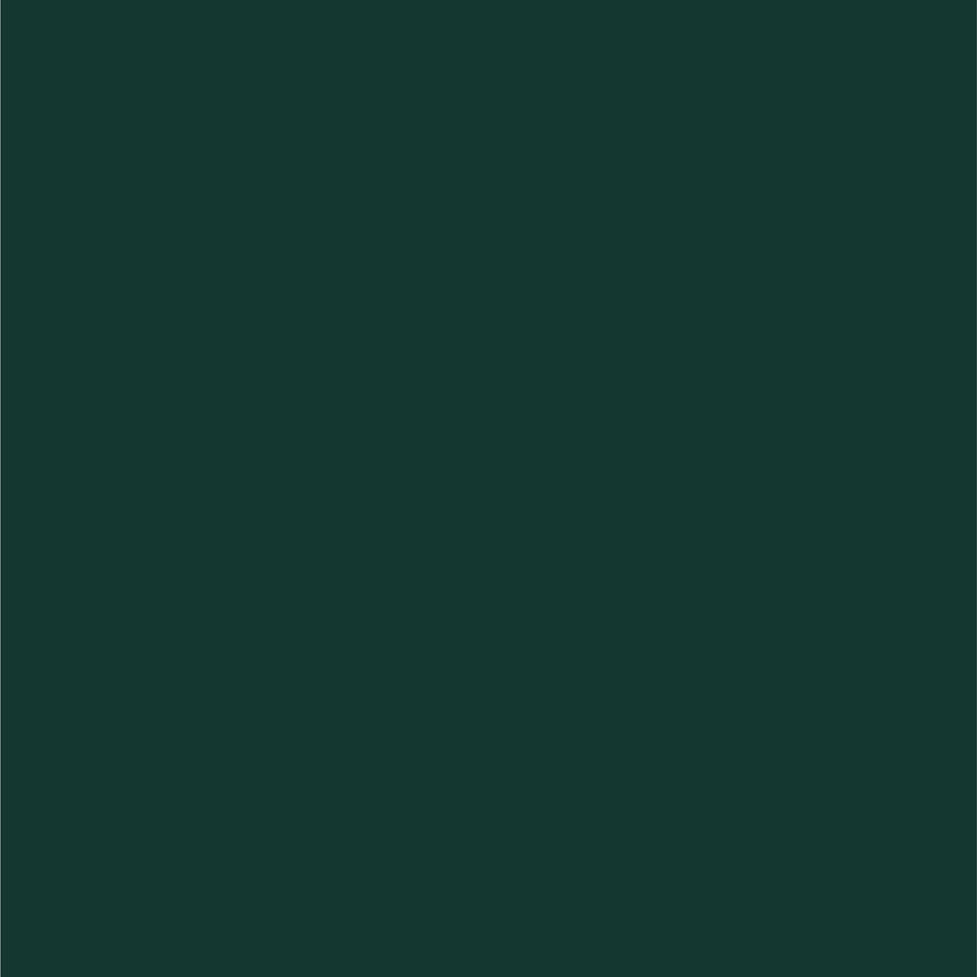 Ford Amazon Green Metallic Dupli-Color EBFM03507 Perfect Match Automotive Spray Paint – 8 oz. Aerosol Can