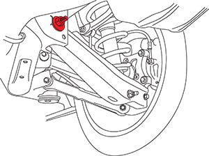 Cam Rear Camber