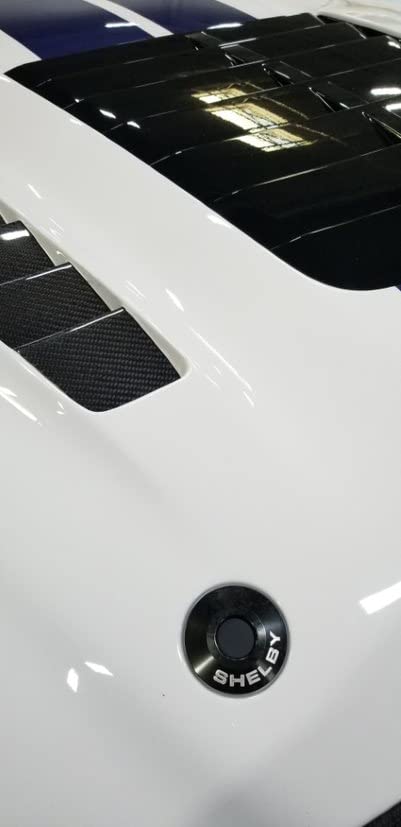Shelby GT500 Hood Pin Ring Kit by Ford Mustang Drake Muscle Cars