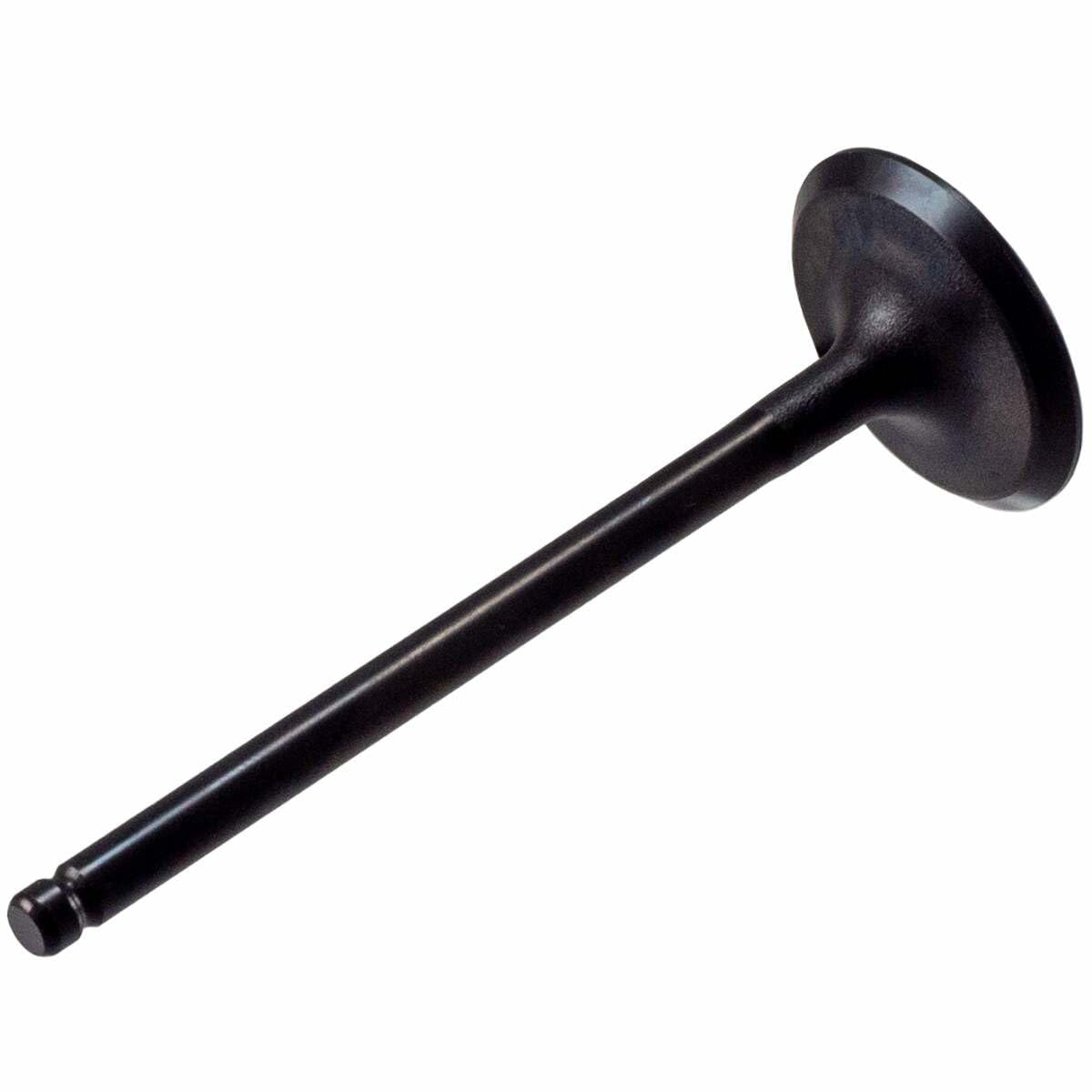 V5564 Melling Stock Replacement Engine Intake Valve