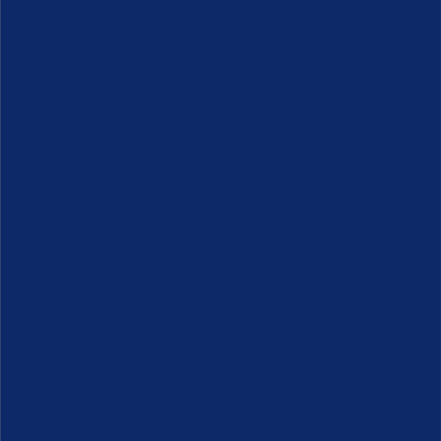 Ford Twilight Blue Metallic Dupli-Color EBFM02947 Perfect Match Automotive Spray – 8 oz. Aerosol Can