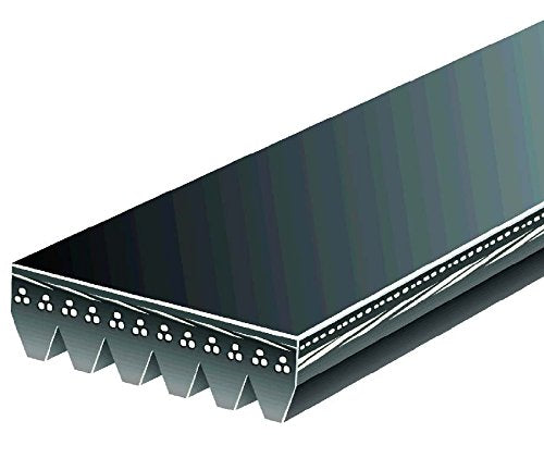 K060663 Gates Multi V-Groove Belt