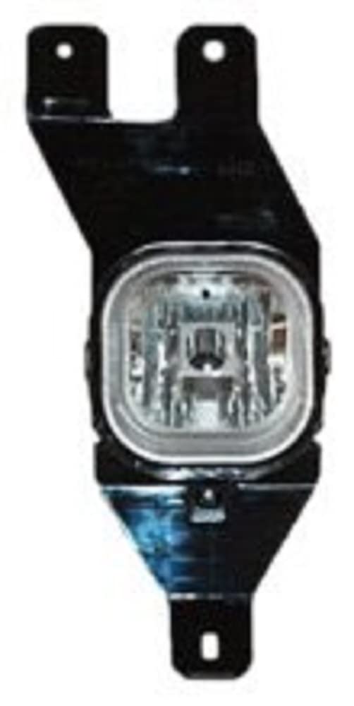 Left TYC Fog Light Assembly Compatible with 2001-2004 Ford F- Series Pickup (Hvy Dty)