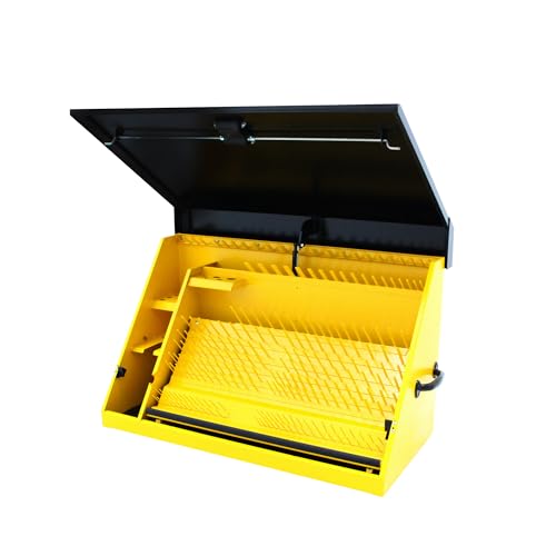 36" x 17" DeWalt Triangle Toolbox - Steel, Black