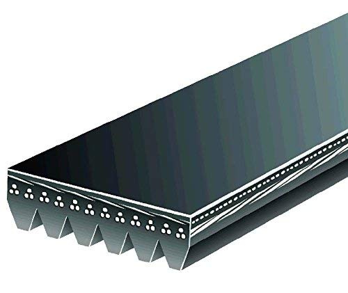Belt Gates