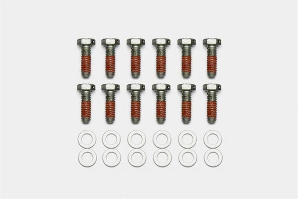 Bolt Kit Wilwood - 5/16-18 x 1.00 LG - 12 pk
