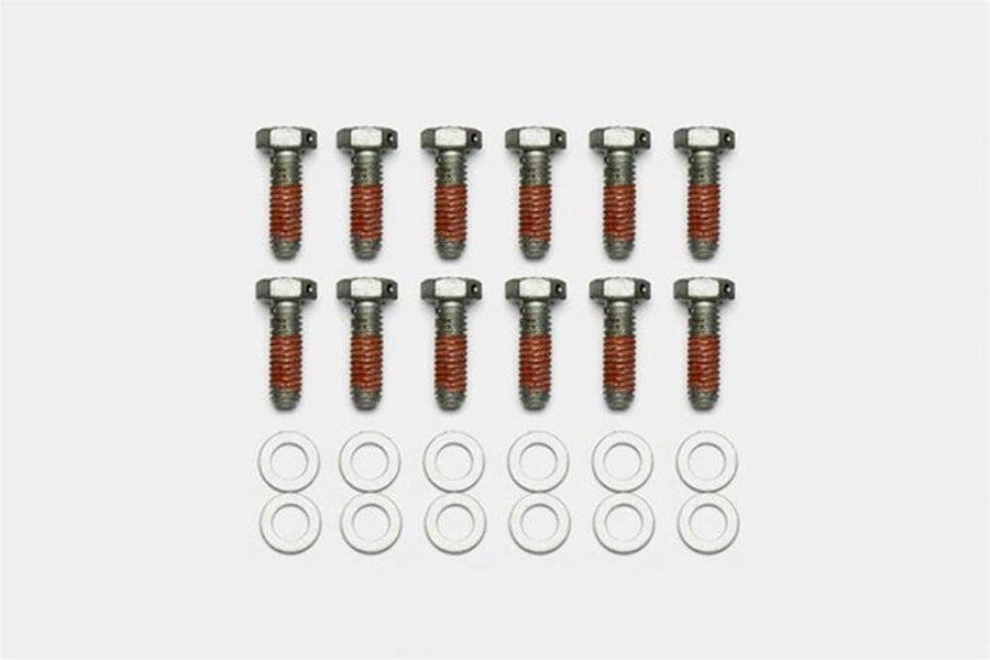 Bolt Kit Wilwood - 5/16-18 x 1.00 LG - 12 pk