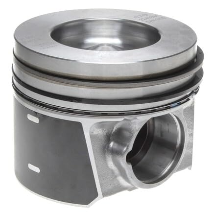 Piston Mahle - 224-3891WR