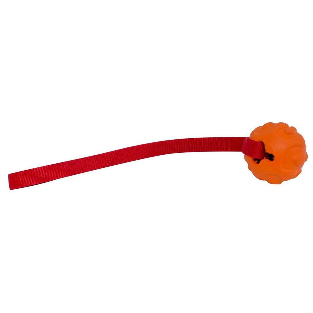 Float nâ€™ Fetch Ball VALTERRA A10-2002