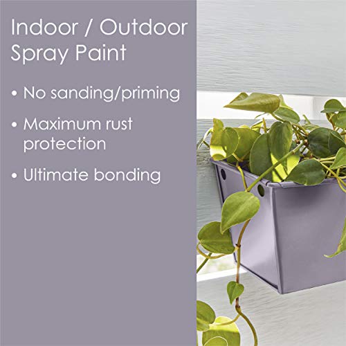 Krylon All-In-One Fusion Adhesive Spray Paint for Indoor/Outdoor Use, 12 oz, Lavender