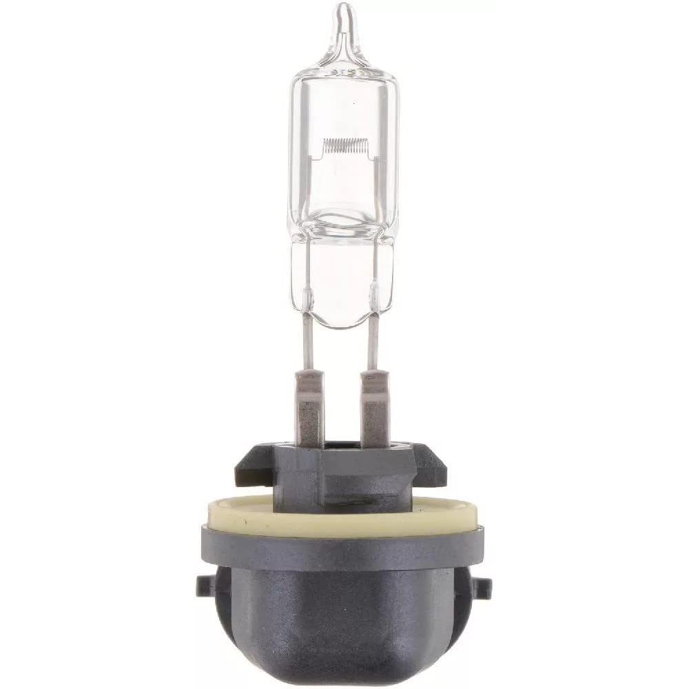 Standard Fog Bulb Philips Automotive Lighting 894 (Pack of 1)