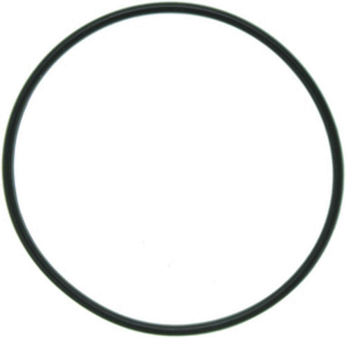 C31801 MAHLE Gasket