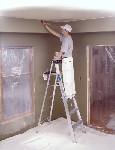 6 Feet Werner 376 Ladder, Black