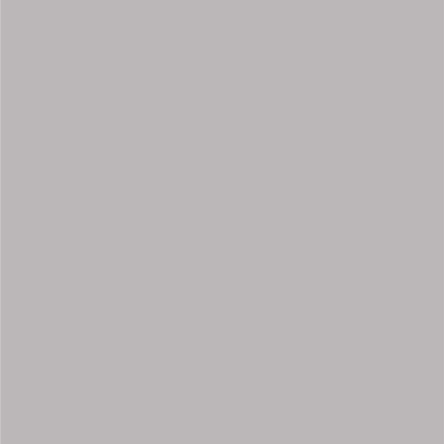 Chrysler Bright Silver Metallic Dupli-Color EBCC0410 Perfect Match Automotive Spray Paint – 8 oz. Aerosol Can