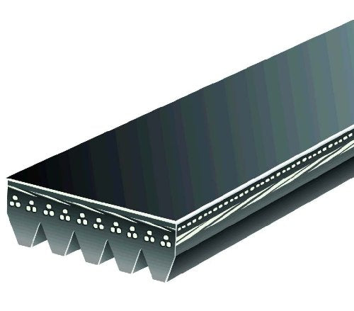 K050825 Gates Multi V-Groove Belt