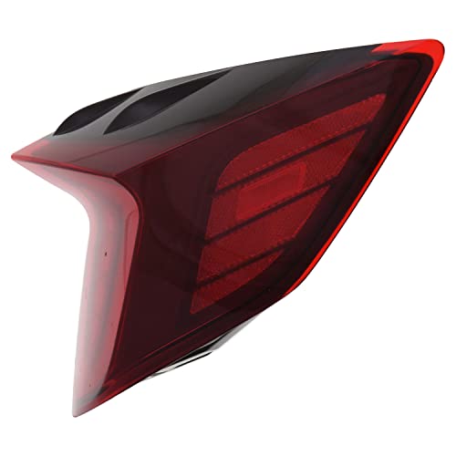Tail TYC Lamp