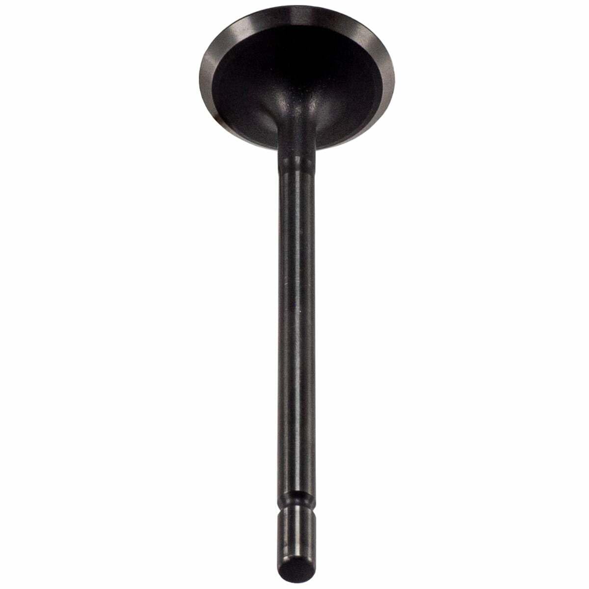 V5568 Melling Stock Replacement Engine Intake Valve