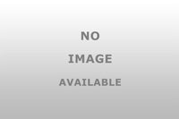 MB 529XP 010 King Engine Bearings Bearing