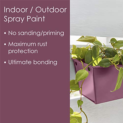 Krylon All-In-One Fusion Adhesive Spray Paint for Indoor/Outdoor Use, 12 oz, Sangria