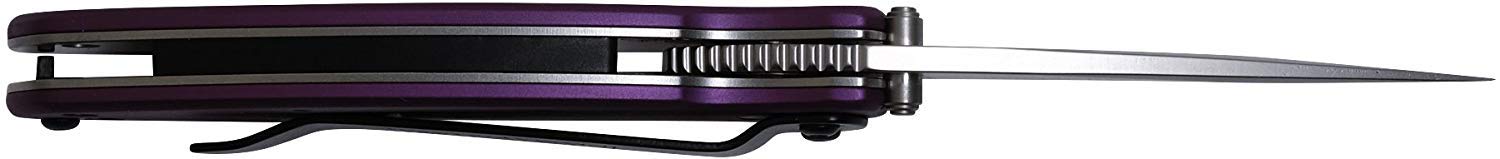 Kershaw Purple Scallion Folding Knife (1620PUR), 2.4 Bead-Blasted 420HC Steel Blade, Anodized Aluminum Handle, SpeedSafe Assisted Open, Flipper, Liner and Tip Lock, Single-Position Pocketclip; 2.5 OZ