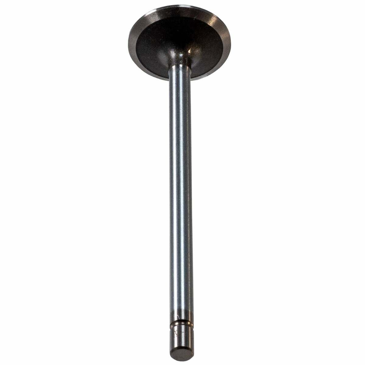 V2179 Melling Stock Replacement Engine Intake Valve