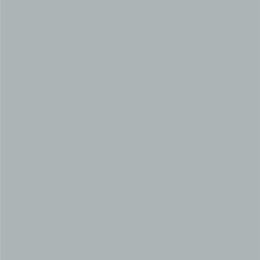 Dupli-Color EBFM03417 Automotive Spray Perfect Match, Ford Silver Frost, TS – 8 oz. Aerosol Can