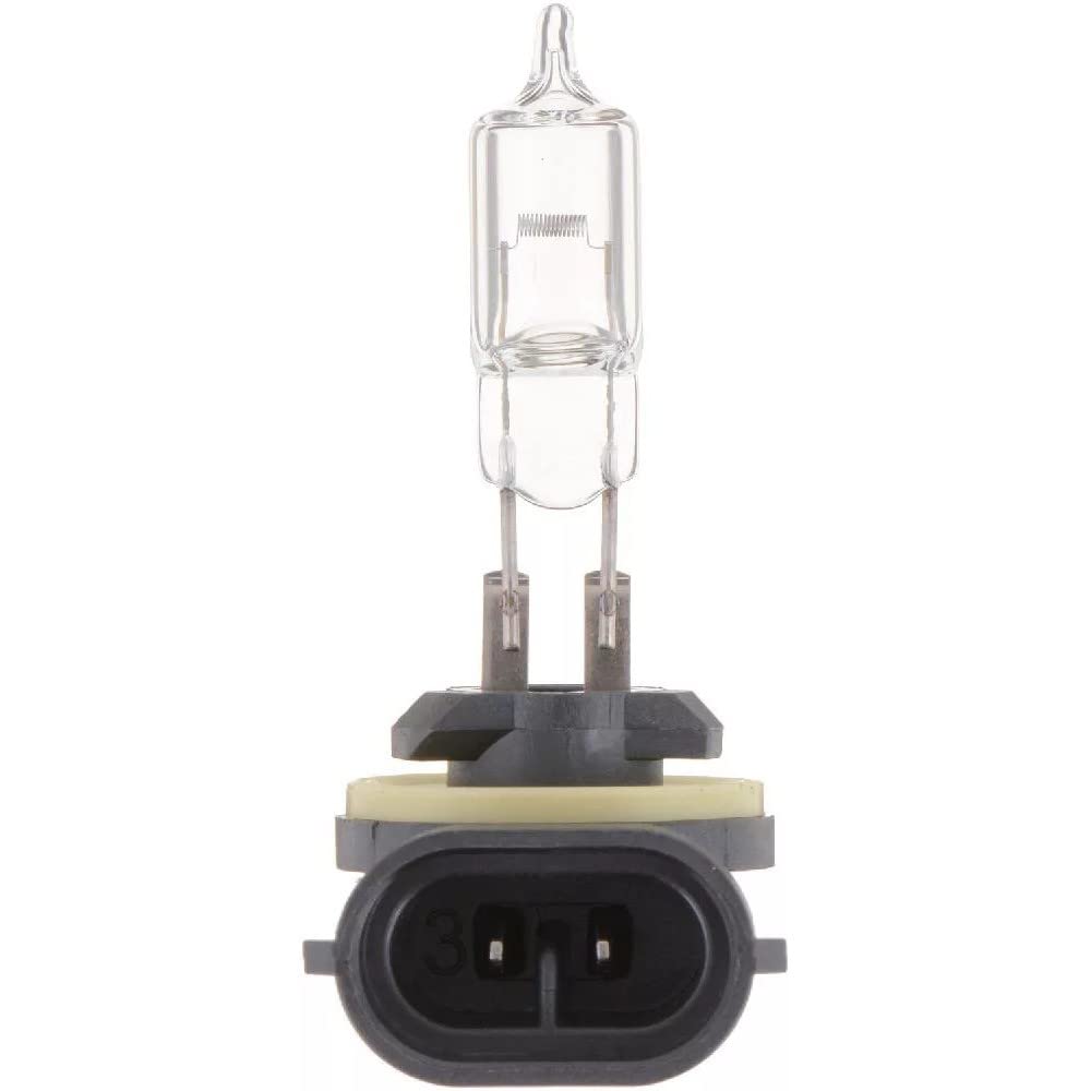 Standard Fog Bulb Philips Automotive Lighting 894 (Pack of 1)