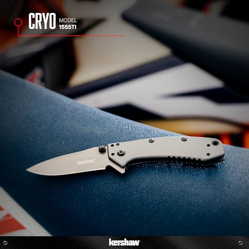 Kershaw Pocket Knife Cryo, Matte Gray Design, 2.75 Inch Stainless Steel Drop Point Blade, EDC with Assisted Opening, 4-Position Clip Carry, Everyday Carry Pocket Knife for Men and Women