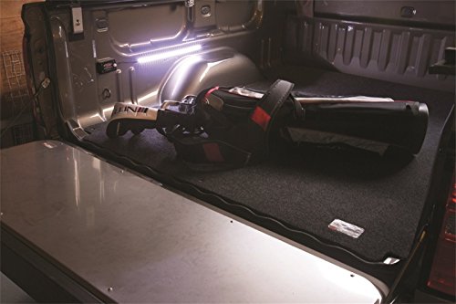 Access 90392 Cover Motion LED Light Strip