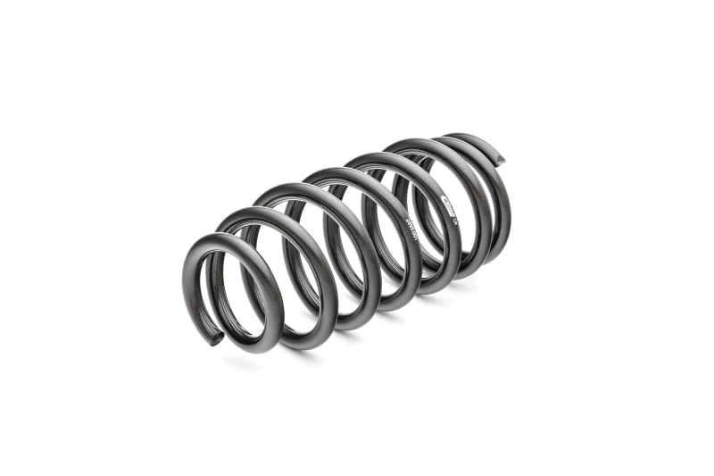 Pro Kit Eibach 2895140 for Dodge Challenger