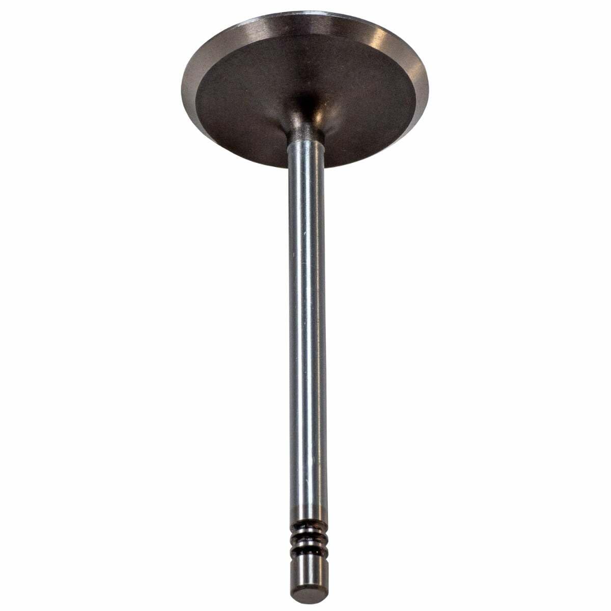 V3251 Melling Stock Replacement Engine Intake Valve