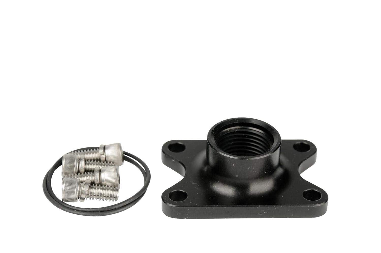 Outlet, Aeromotive Spur Gear Pump, AN-10 Port