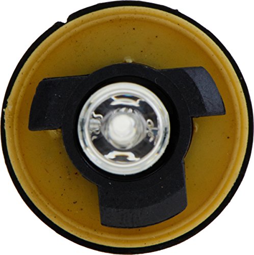 890 Philips Standard Fog Bulb (Pack of 1)