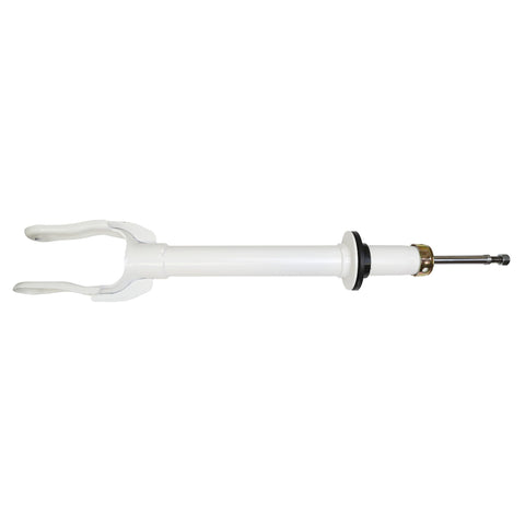 RS55842 Rancho RS5000X Suspension Strut