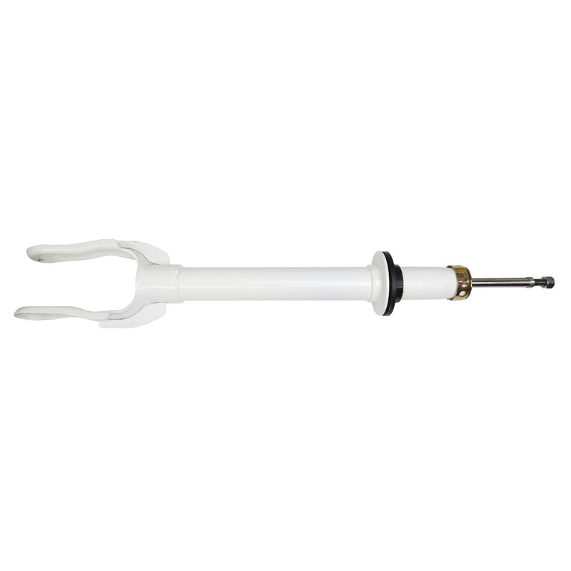 RS55842 Rancho RS5000X Suspension Strut