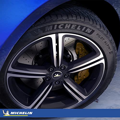 Pilot Alpin 5 Michelin Winter Tire 285/40R19/XL 107V