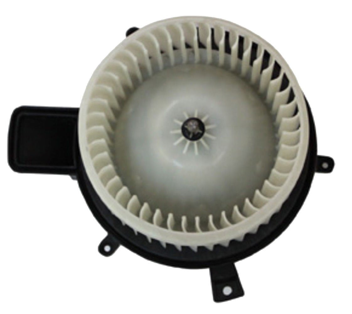 Replacement TYC 700216 Blower Assembly