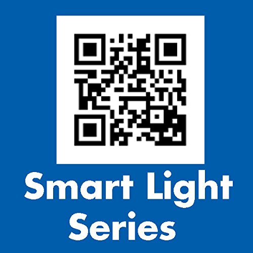 Motion Light AP Products 016SL2000