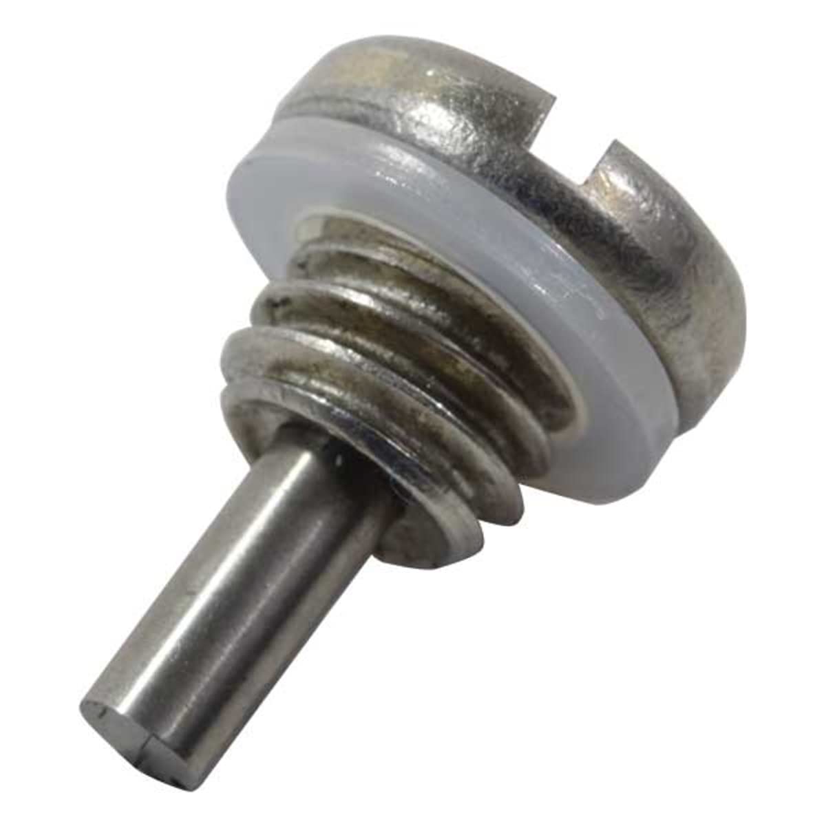 Slotted Head Drain Screw