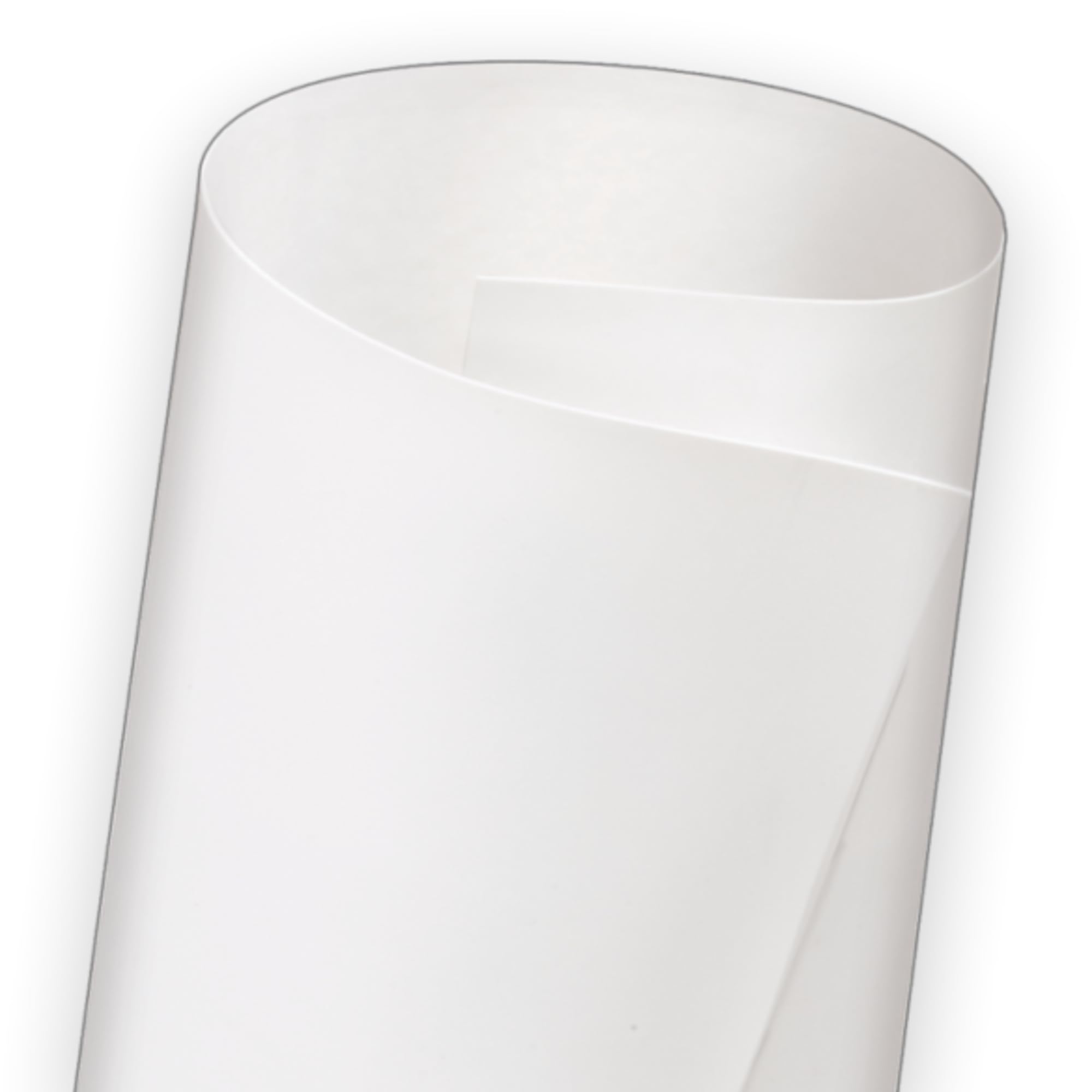 DIFlex II Dicor TPO UV Resistant RV Roofing Membrane Material, Polar White