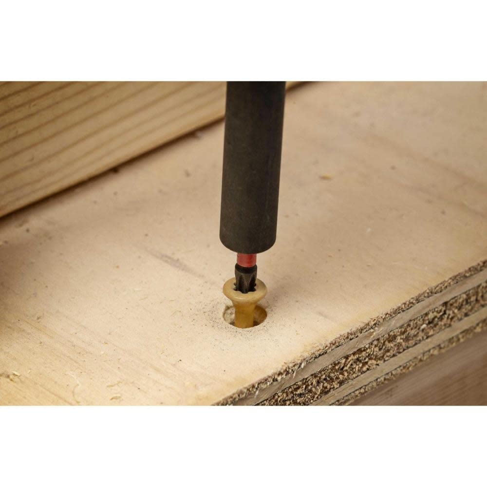 Bit,Vortex,1" T20,2Pk APEX (CAVB1T20-2)