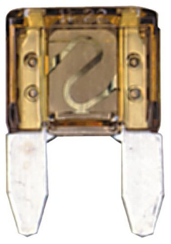 ATM Fuse Sierra International - 2 Amp FS80000