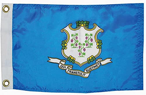 Connecticut TAYLOR MADE PRODUCTS Flag 93094