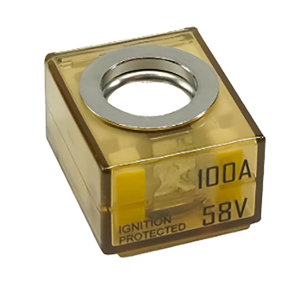 Egis Mobile Electric 100 Amp Terminal Fuse